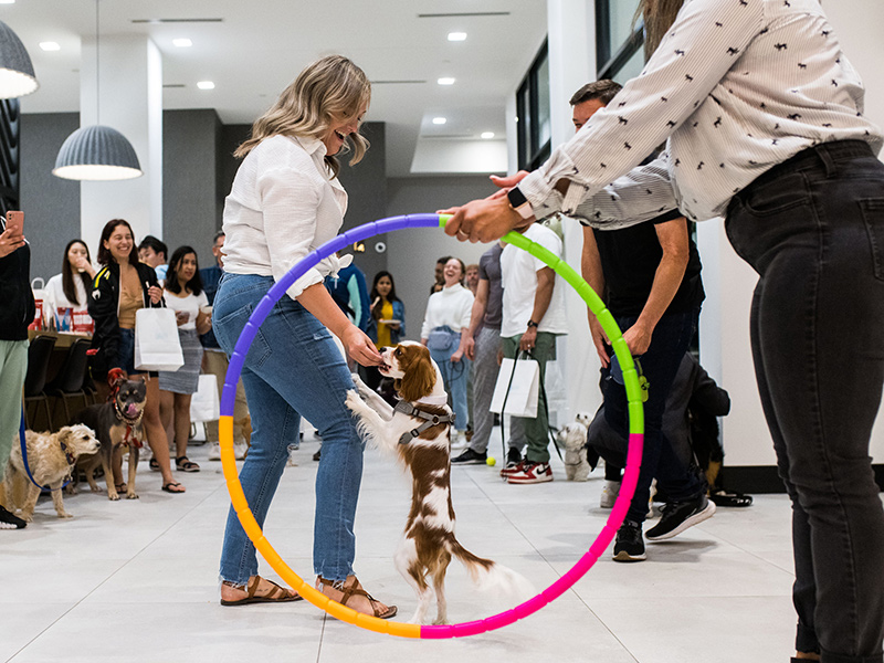 Residents enjoying a party with dogs doing tricks