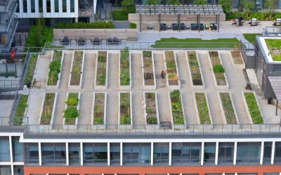 Stacked Living, Shared Growing